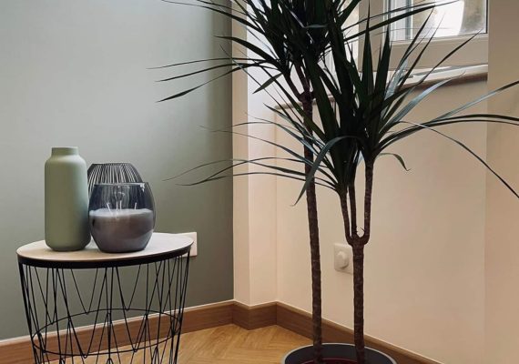 Le clos de Saint Jo’